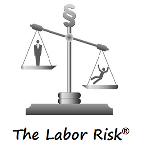 <span style="color: #ff9900;"><strong>The Labor Risk</strong></span><br><br>